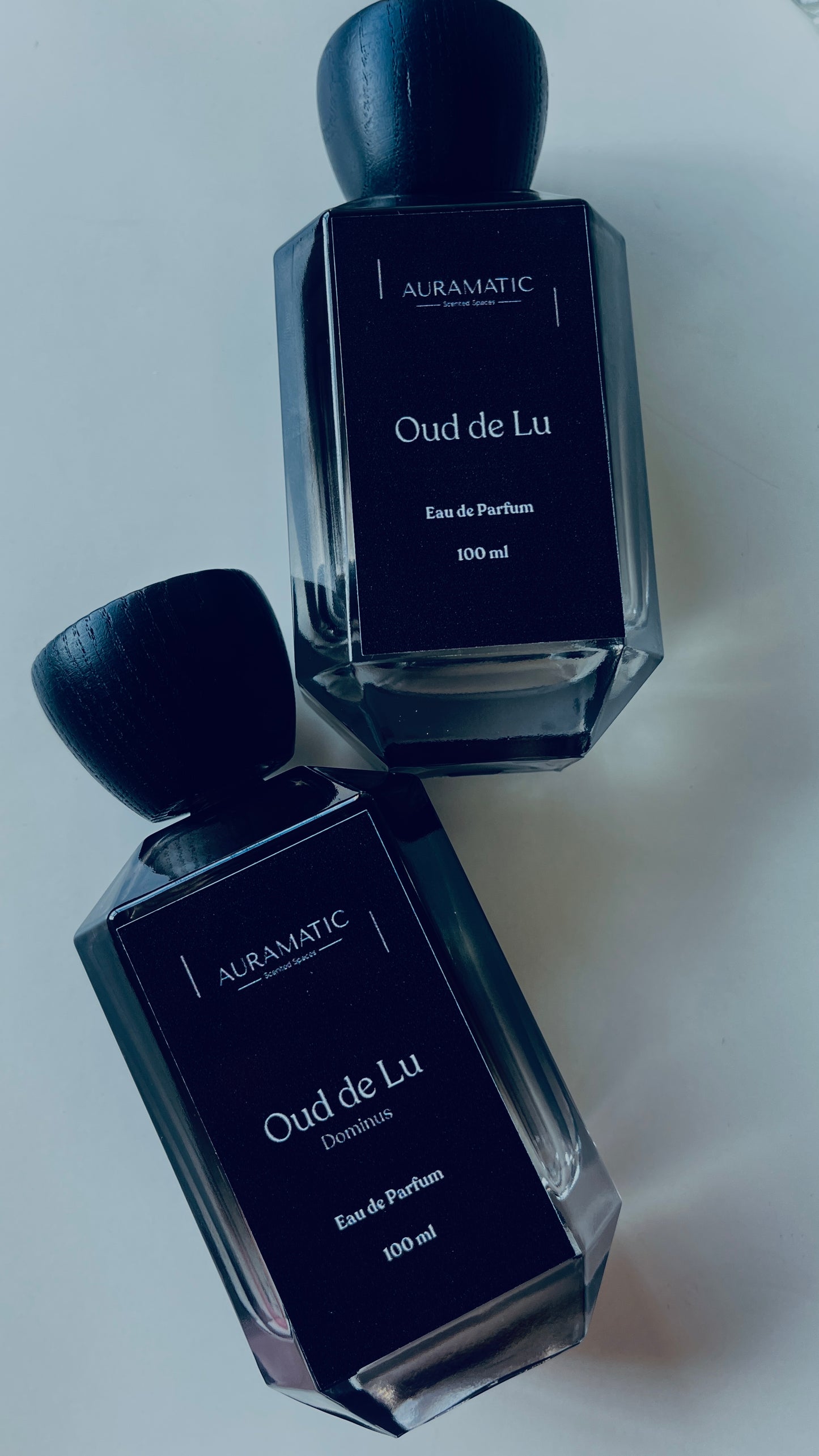 Oud de Lu Dominus