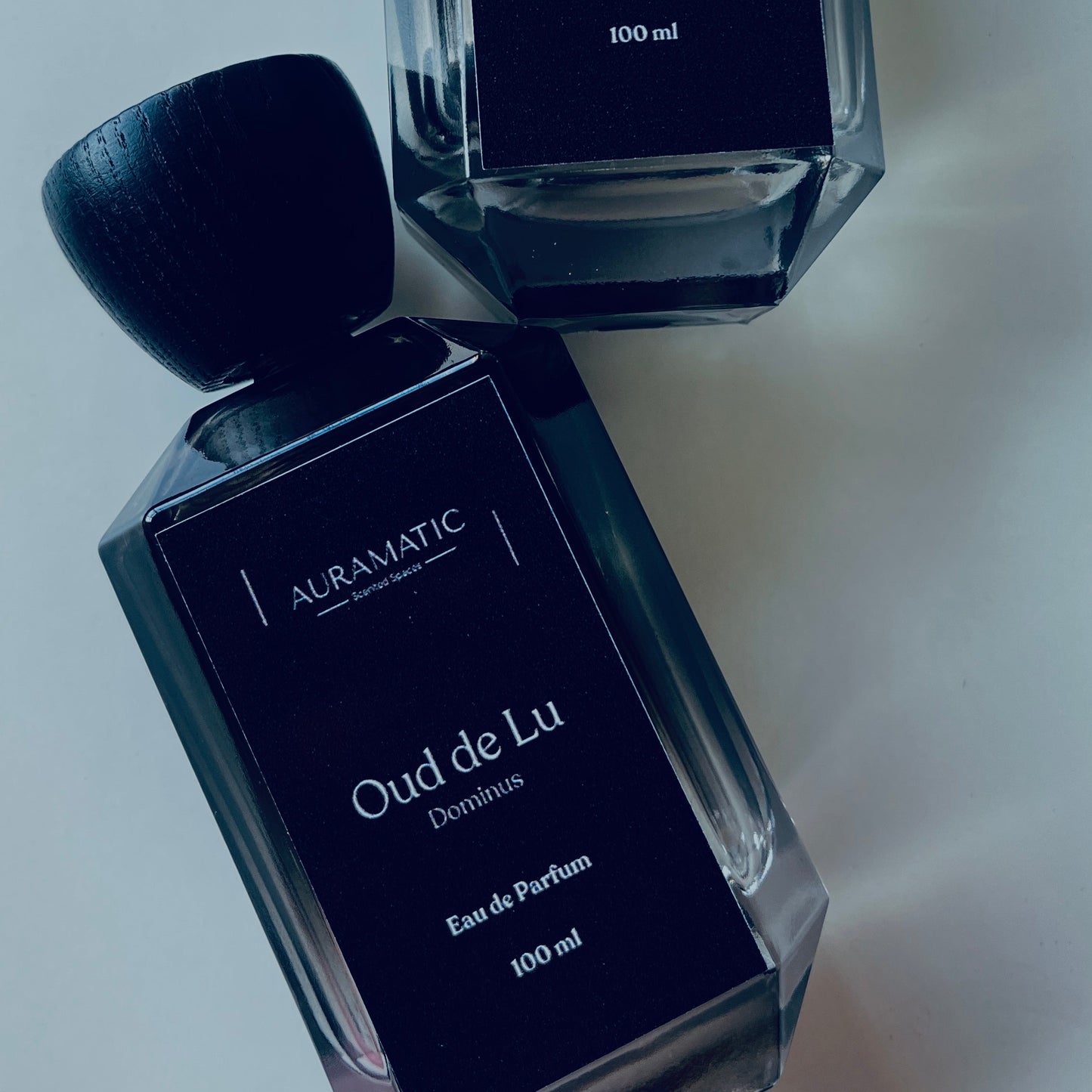 Oud de Lu Dominus