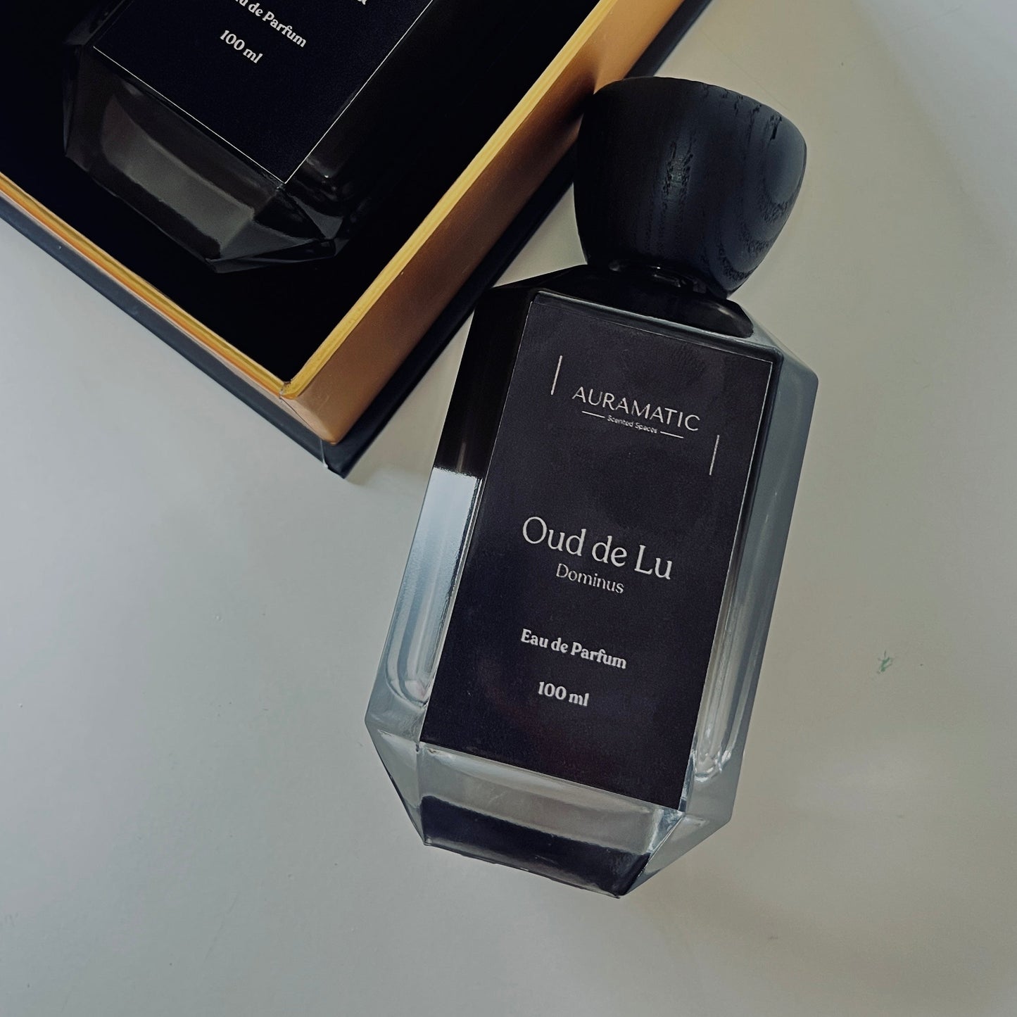 Oud de Lu Dominus