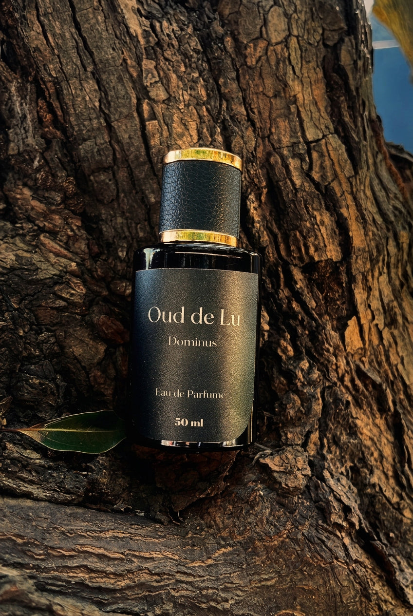 Oud de Lu Dominus